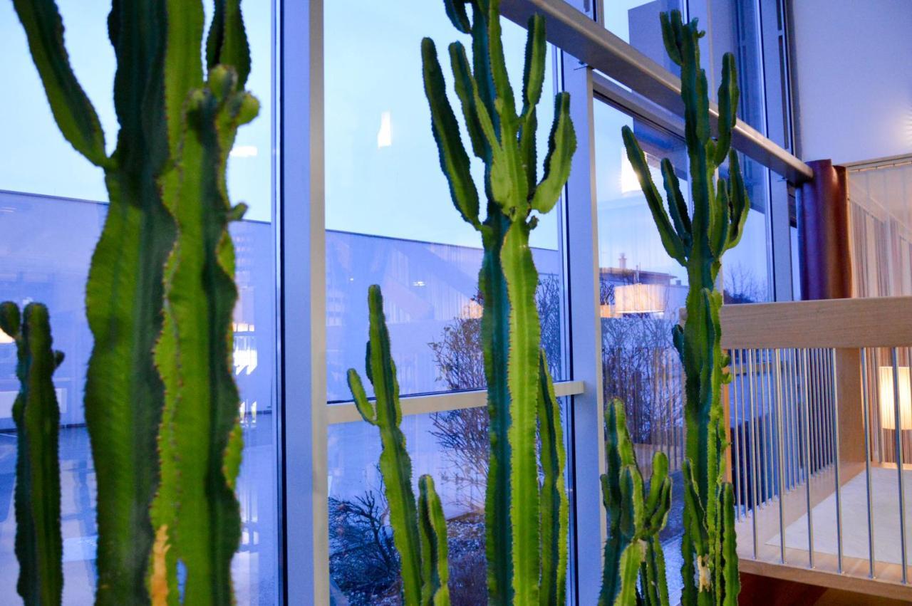 Hotel Roemerhof Tulln An Der Donau Εξωτερικό φωτογραφία